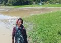 গলাচিপায় জাল জালিয়াতি করে জমি দখলের অভিযোগ প্রভাবশালীর বিরুদ্ধে