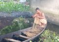 গলাচিপায় ইলিশ শিকার নিষেধাজ্ঞায় বঞ্চিত প্রকৃত জেলেরা, নাম নেই শাহ আলমের
