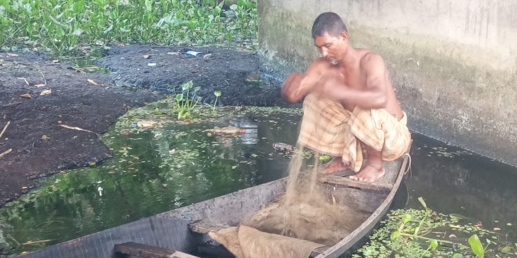 গলাচিপায় ইলিশ শিকার নিষেধাজ্ঞায় বঞ্চিত প্রকৃত জেলেরা, নাম নেই শাহ আলমের