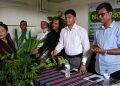 মহিপুরে সুবিধাবঞ্চিত নারী ও কৃষকদের মাঝে ৩ হাজার গাছের চারা বিতরণ