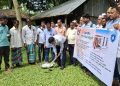 ১৭ লাখ টাকায় কংক্রিট ব্লকে বরগুনায় নির্মিত হচ্ছে মডেল লাইব্রেরি