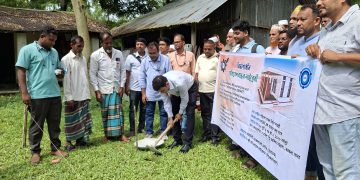 ১৭ লাখ টাকায় কংক্রিট ব্লকে বরগুনায় নির্মিত হচ্ছে মডেল লাইব্রেরি