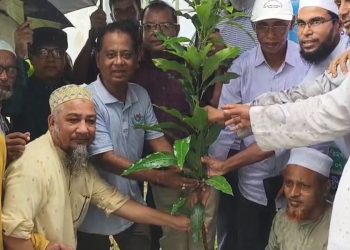 কলাপাড়ায় পৌর ওলামা দলের উদ্যোগে বৃক্ষরোপণ কর্মসূচির উদ্বোধন