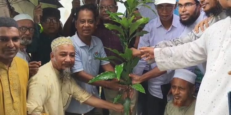 কলাপাড়ায় পৌর ওলামা দলের উদ্যোগে বৃক্ষরোপণ কর্মসূচির উদ্বোধন