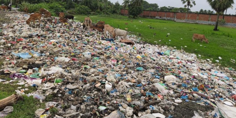 কুয়াকাটাকে ‘শূন্য বর্জ্য নগরীতে’ রূপান্তরের উদ্যোগ