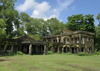 গলাচিপায় ৫০ লাখ টাকার ইউপি কমপ্লেক্স যেন ‘গোয়ালঘর’