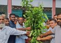 বাউফলে ভরিপাশা মাধ্যমিক বিদ্যালয়ে বৃক্ষরোপণ ও ক্রীড়া সামগ্রী বিতরণ