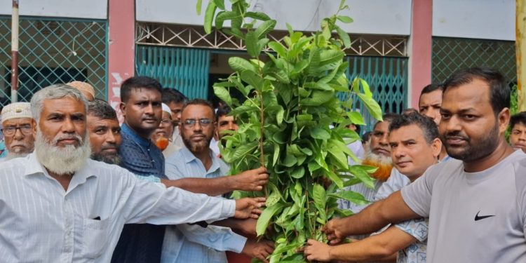 বাউফলে ভরিপাশা মাধ্যমিক বিদ্যালয়ে বৃক্ষরোপণ ও ক্রীড়া সামগ্রী বিতরণ