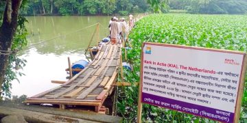কলাপাড়ার নীলঞ্জের কৃষকদের একমাত্র সম্বল ভাসমান সেতু