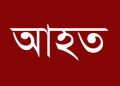 গলাচিপায় জমি নিয়ে বিরোধে প্রতিপক্ষের হামলায় নারীসহ চারজন আহত