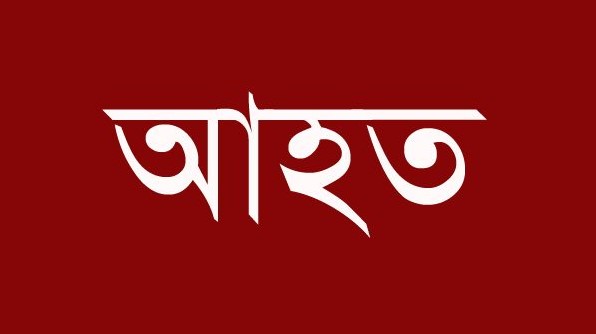 গলাচিপায় জমি নিয়ে বিরোধে প্রতিপক্ষের হামলায় নারীসহ চারজন আহত