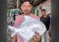 বঙ্গোপসাগরে জেলের জালে ধরা পড়ল ১.৭ কেজির রূপচাঁদা