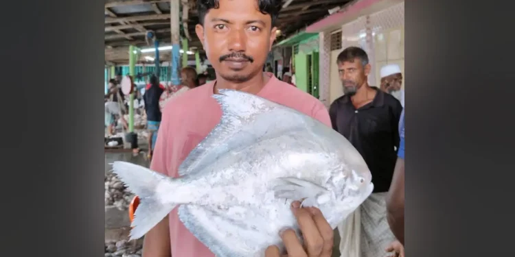 বঙ্গোপসাগরে জেলের জালে ধরা পড়ল ১.৭ কেজির রূপচাঁদা