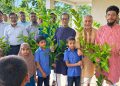 বাউফলে পূর্ব খাজুরবাড়িয়া প্রাথমিক বিদ্যালয়ে পরিচিতি সভা ও চারা বিতরণ