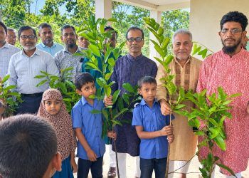বাউফলে পূর্ব খাজুরবাড়িয়া প্রাথমিক বিদ্যালয়ে পরিচিতি সভা ও চারা বিতরণ