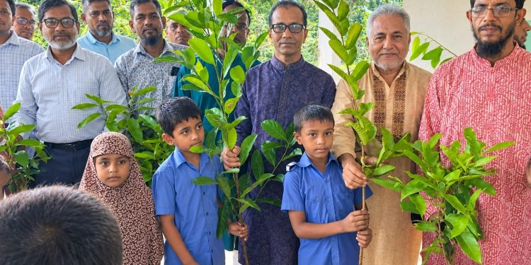 বাউফলে পূর্ব খাজুরবাড়িয়া প্রাথমিক বিদ্যালয়ে পরিচিতি সভা ও চারা বিতরণ