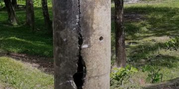 গলাচিপায় জীর্ণ বিদ্যুতের খুঁটি, বড় দুর্ঘটনার আশঙ্কা