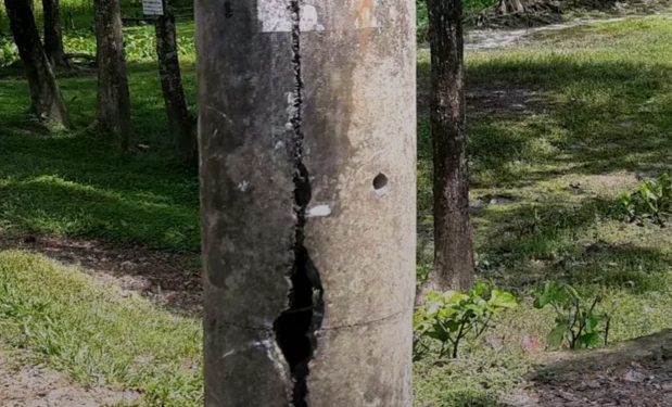 গলাচিপায় জীর্ণ বিদ্যুতের খুঁটি, বড় দুর্ঘটনার আশঙ্কা