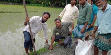 গলাচিপায় জলবায়ু ঝুঁকি মোকাবিলায় তিন শতাধিক তালবীজ রোপণ
