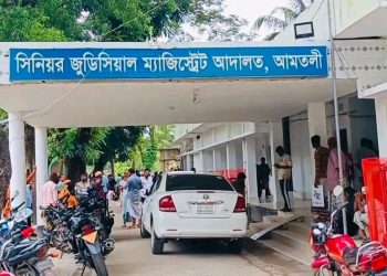 আমতলীতে মিথ্যা মামলা দায়েরের অভিযোগে বাদীকে ২০ দিনের কারাদণ্ড