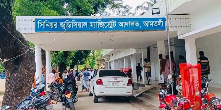 আমতলীতে মিথ্যা মামলা দায়েরের অভিযোগে বাদীকে ২০ দিনের কারাদণ্ড