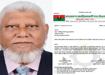 মা-শিশুকে নির্যাতনের ঘটনায় কলাপাড়া উপজেলা বিএনপি সম্পাদক চুন্নুকে শোকজ