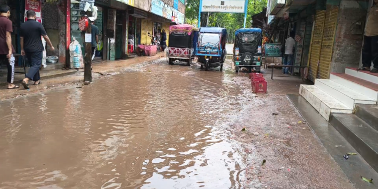 পবিপ্রবি-নতুন বাজার সড়কের বেহাল দশা, নাকাল পথচারীরা