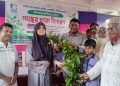 কলাপাড়ায় প্রধানমন্ত্রীর ২৫ কোটি বৃক্ষরোপণ কর্মসূচির অংশ হিসেবে চারা বিতরণ