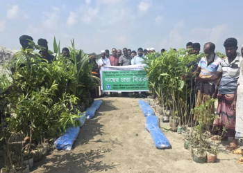 রাঙ্গাবালীতে ৪২০ পরিবার ও ১১ প্রতিষ্ঠানে সাড়ে চার হাজার গাছের চারা বিতরণ