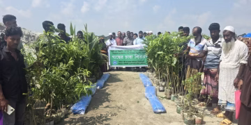 রাঙ্গাবালীতে ৪২০ পরিবার ও ১১ প্রতিষ্ঠানে সাড়ে চার হাজার গাছের চারা বিতরণ