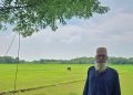 কলাপাড়ায় ছেলে আ.লীগ করায় ৬ একর জমি চাষাবাদে বাধা, দুই বছর ধরে অনাবাদি জমি