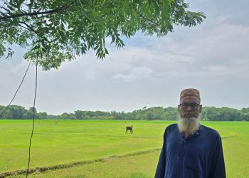 কলাপাড়ায় ছেলে আ.লীগ করায় ৬ একর জমি চাষাবাদে বাধা, দুই বছর ধরে অনাবাদি জমি