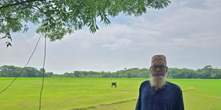 কলাপাড়ায় ছেলে আ.লীগ করায় ৬ একর জমি চাষাবাদে বাধা, দুই বছর ধরে অনাবাদি জমি