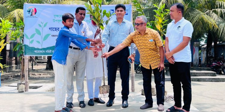 কলাপাড়ায় সাড়ে তিন শতাধিক শিক্ষার্থীর মাঝে ফলদ গাছের চারা বিতরণ