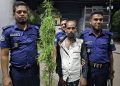বাউফলে ৩টি গাঁজা গাছসহ একজনকে আটক করেছে পুলিশ
