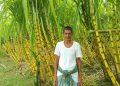 ​আগে পড়ে থাকত অনাবাদি: সেই ক্যাচক্যাচিয়া খালপাড়ে এখন ‘লাল সুন্দরী’র হাসি