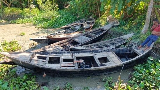 দুমকিতে মা ইলিশ রক্ষা অভিযানে জব্দকৃত নৌযান নিলামে বিক্রি