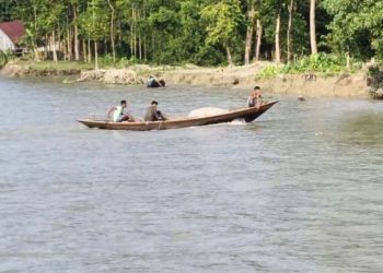 গলাচিপায় নিষেধাজ্ঞা অমান্য করে দেদার ইলিশ শিকার, নেপথ্যে প্রভাবশালী সিন্ডিকেট
