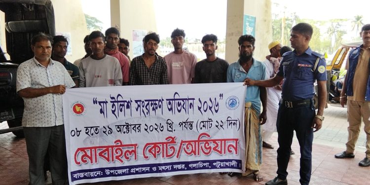 গলাচিপায় মা ইলিশ শিকারের দায়ে ১৪ জেলের কারাদণ্ড