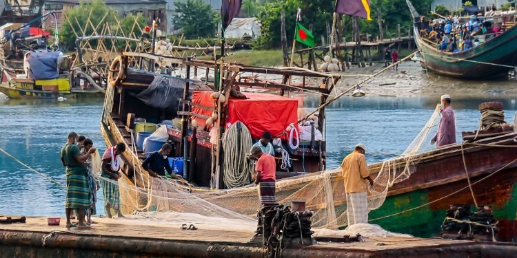 নিষেধাজ্ঞা শেষ: ইলিশের খোঁজে মধ্যরাতেই সাগরে নামছেন উপকূলের জেলেরা