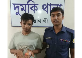 দুমকিতে ১২৫ পিস ইয়াবাসহ মানিকগঞ্জের মাদক কারবারি গ্রেফতার