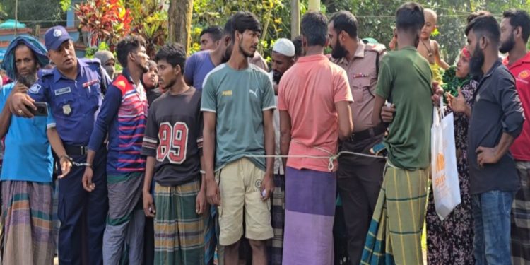নিষেধাজ্ঞা অমান্য করে তেঁতুলিয়ায় ইলিশ শিকারের দায়ে ৮ জেলের কারাদণ্ড