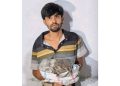 মির্জাগঞ্জে ৫০০ গ্রাম গাঁজাসহ মাদক ব্যবসায়ী গ্রেফতার