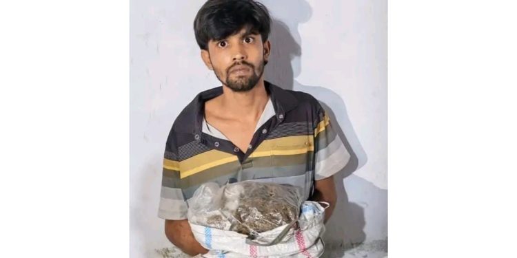 মির্জাগঞ্জে ৫০০ গ্রাম গাঁজাসহ মাদক ব্যবসায়ী গ্রেফতার