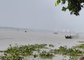 প্রশাসনকে তোয়াক্কা না করে পায়রায় মা ইলিশ শিকারের মহোৎসব