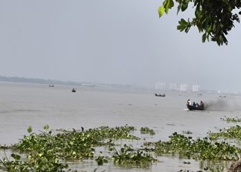 প্রশাসনকে তোয়াক্কা না করে পায়রায় মা ইলিশ শিকারের মহোৎসব
