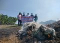 পায়রায় মৎস্য বিভাগের অভিযানে ১৫ হাজার মিটার কারেন্ট জাল ও নৌকা জব্দ