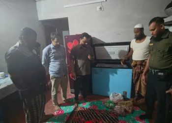 গলাচিপায় এতিমখানার ইলিশ বাড়িতে নেওয়ায় দুজনকে জরিমানা