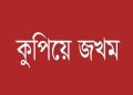 বাউফলে জমি সংক্রান্ত বিরোধে দুই ভাইকে কুপিয়ে জখম