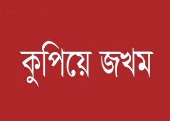 বাউফলে জমি সংক্রান্ত বিরোধে দুই ভাইকে কুপিয়ে জখম